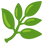 :herb:
